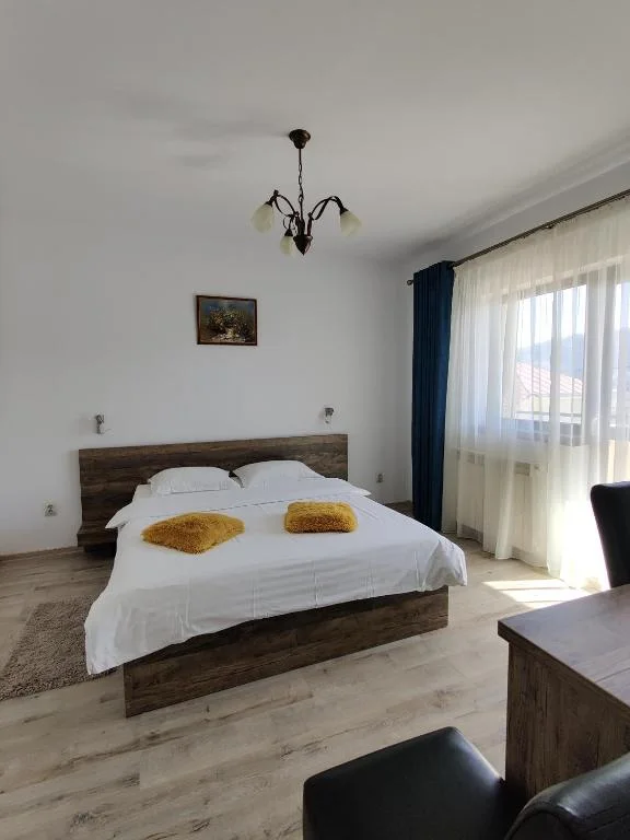 Pensiunea Roua – 294521521